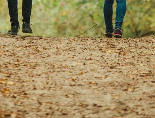 De voordelen van bewegen en natuur voor medewerkers en organisaties