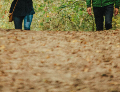 De positieve effecten van bewegen en natuur op de gezondheid