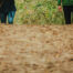 blogafbeelding-coaching-in-de-natuur